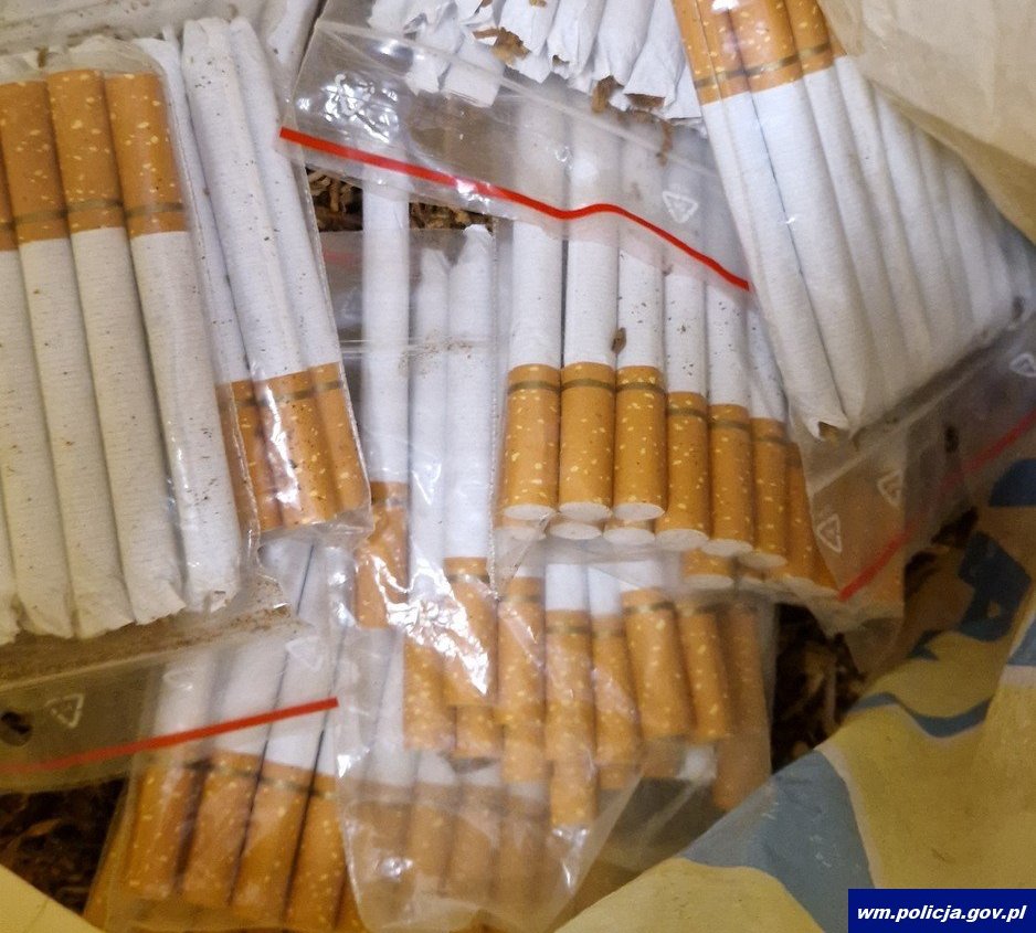 Nielegalny tytoń i papierosy w mieszkaniu. 61-letnia mieszkanka powiatu zatrzymana