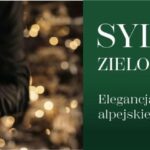 Restauracja Kormoran Sylwester baner