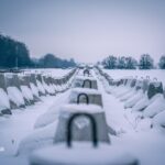 Tarcza Wschód wzmocnienie bezpieczeństwa wschodniej granicy (1)