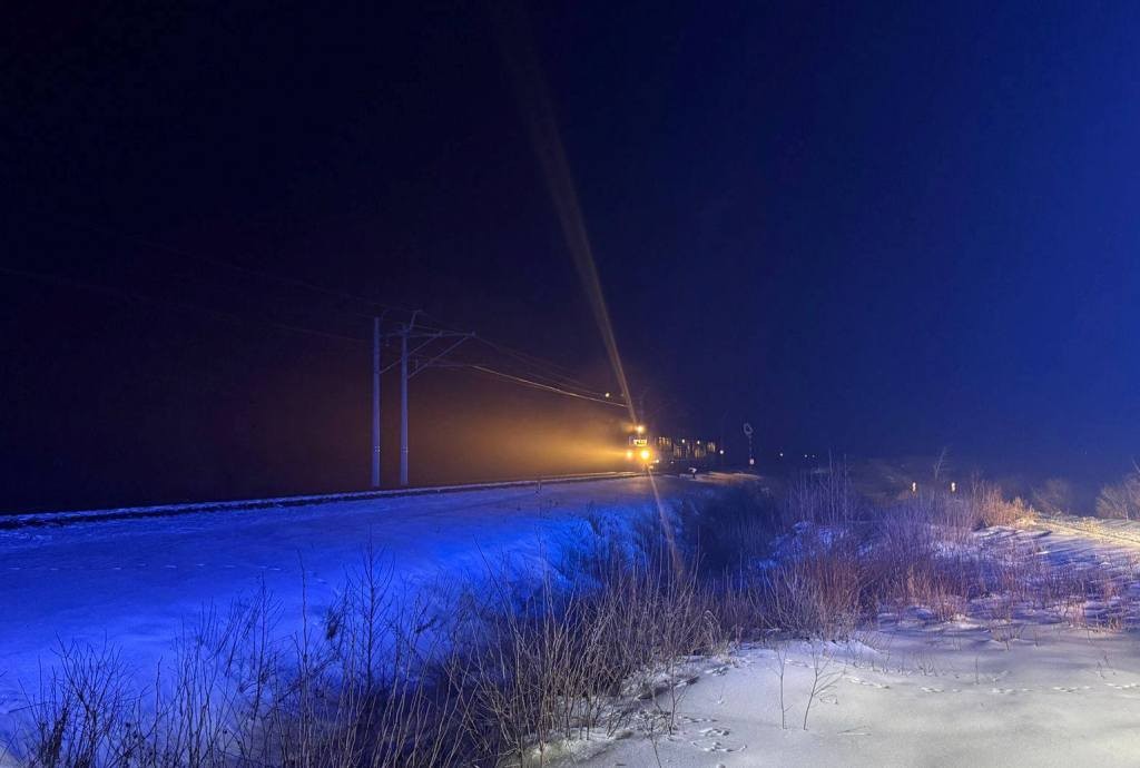 Łoś wbiegł pod szynobus. Groźne zdarzenie w gminie Wydminy