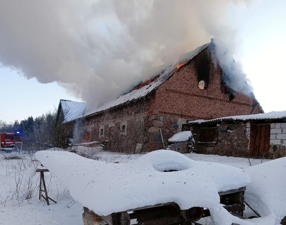 Walczyli z ogniem i ratowali łosia. Pracowite dni strażaków w powiecie giżyckim