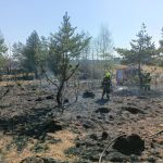 Wiosenny problem wraca. Strażacy gaszą pożary traw (3)