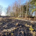 Wiosenny problem wraca. Strażacy gaszą pożary traw (4)