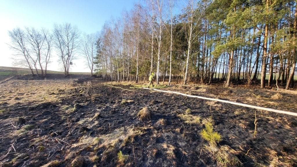 Wiosenny problem wraca. Strażacy gaszą pożary traw