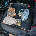 Wykorzystywali niepełnosprawnego do żebractwa. Działali także w Giżycku (2)