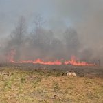 Wysokie zagrożenie pożarowe w lasach. Strażacy apelują o ostrożność (1)