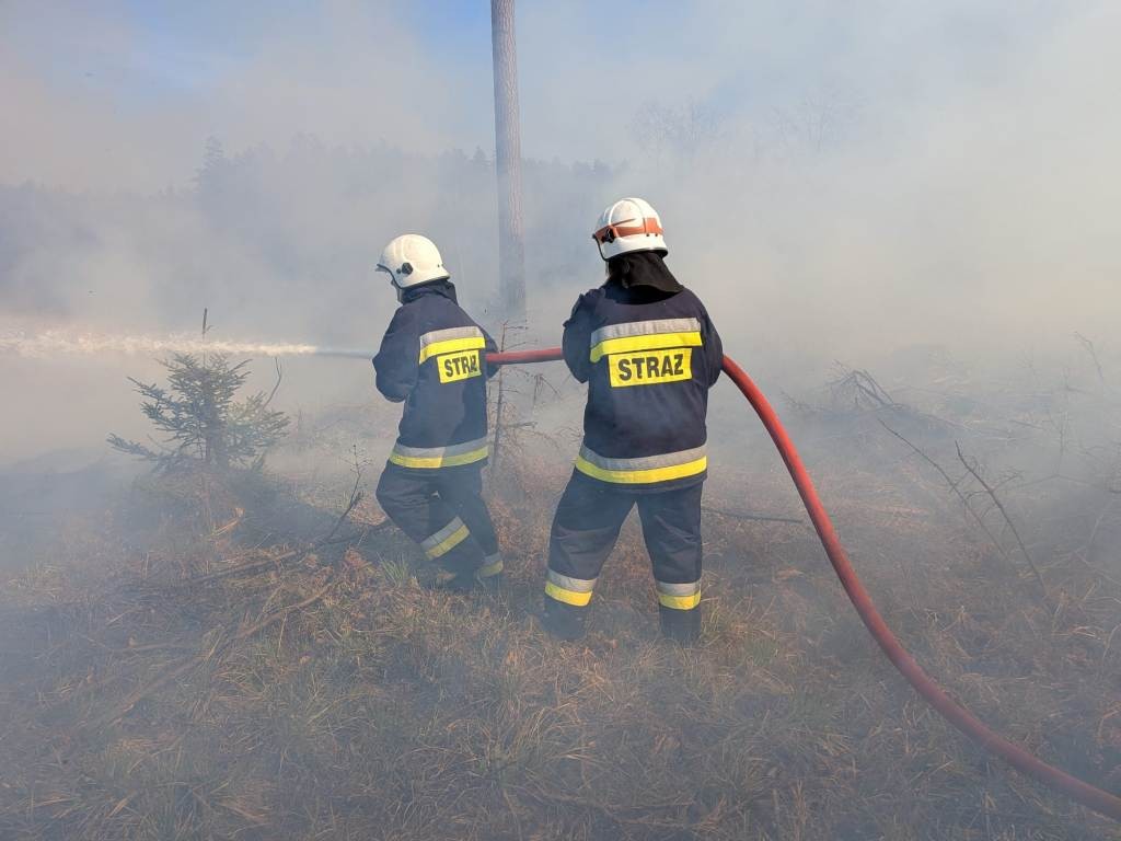Wysokie zagrożenie pożarowe w lasach. Strażacy apelują o ostrożność