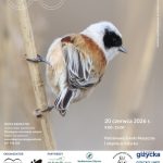 GKO 2026 – 1