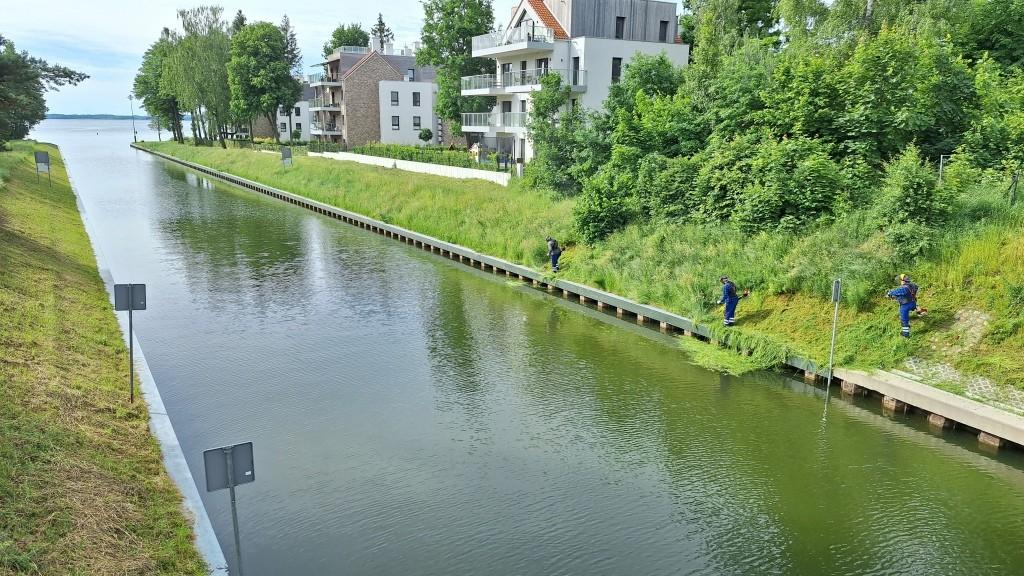 Koszą skarpy i porządkują brzegi. realizowane są prace na Kanale Niegocińskim