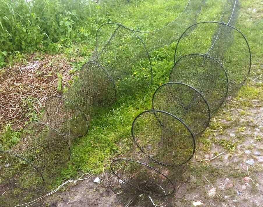 Wpadł podczas wybierania ryb z sieci. Grożą mu 2 lata więzienia