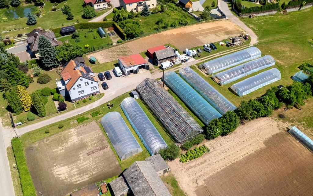 Znasz to miejsce? Gospodarstwo Ogrodnicze Grzegorza Kornaka w Gajewie
