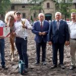 Sukces hodowców z Gminy Giżycko podczas czempionatu koni zimnokrwistych w Kętrzynie (1)