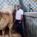Sukces hodowców z Gminy Giżycko podczas czempionatu koni zimnokrwistych w Kętrzynie (2)