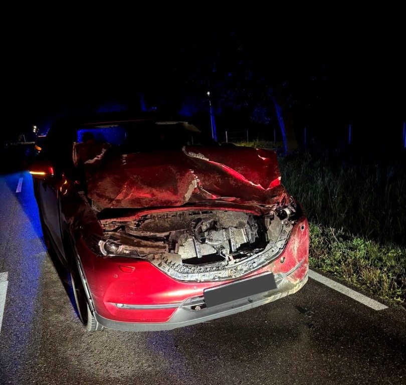 Kolizje na drogach powiatu giżyckiego. Jesienią zachowajmy większą ostrożność